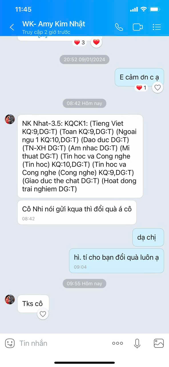 Ảnh số 12